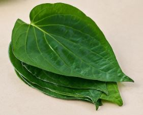 Betel Leaf(Viled yele) – Small | Medium | Large